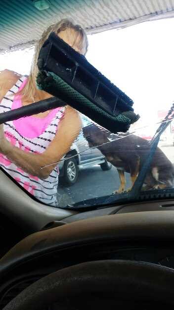 Tire Management Strategies to Combat Elevated Track Temperatures